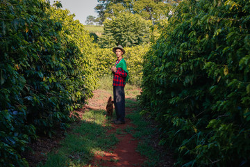 Fototapeta na wymiar Farmer at coffee plantation holding Brazilian flag