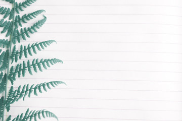 Top view image of open notebook with blank pages on desk, that was covered by green fern leaves.