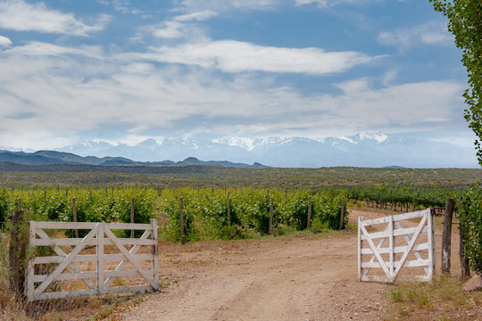 Picturesque rural scenery.of wooden gate entrance to vineyard with  snowy peaks mountains in the background. Uco Valley, Mendoza, Argentina