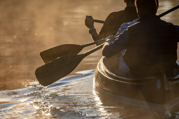 Ruderblatt taucht in der Morgendämmerung bei gegenlicht auf einem Flussin s Wasser ein © bevisphoto