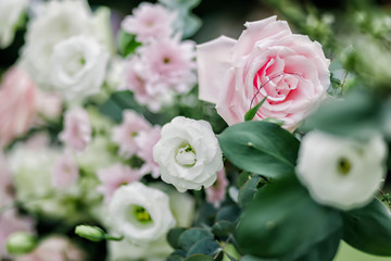 wedding decoration elements, wedding decoration, wedding flower decoration in the park, flower-decorated table, natural flowers, roses, flower arc, hearts soft focus