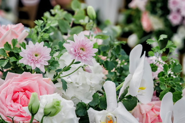 wedding decoration elements, wedding decoration, wedding flower decoration in the park, flower-decorated table, natural flowers, roses, flower arc, hearts soft focus