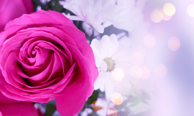 Obraz premium Delicate blurred floral background. Spring flowers close-up, blurry lights