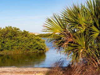 Water scene with palm trees and smooth blue sky in Anastasia State Park in St. Augustine, Florida right before sunset!