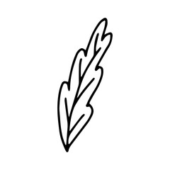 A leaf of a tree or flower is a hand-drawn drawing isolated on a white background.Black and white image.Flora and fauna.Floral design.Doodles.Vector