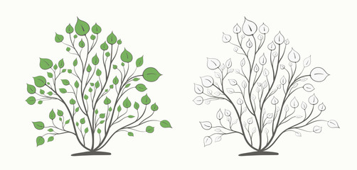 Bush with branches and green leaves in two versions isolated on a light background