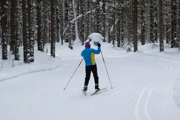 People do cross country skiing in the woods in winter.