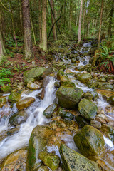 Beautiful Mountain River or Creek at West Vancouver, Canada.