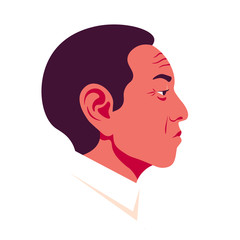 The head of a old asian man in profile. Chinese businessman face side view. Avatar for social networks. Vector flat illustration