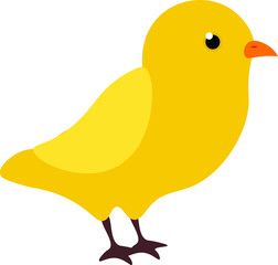 Chick, chicken bird, animal cartoon vector isolated illustration on white background. Concept for print, logo, cards 