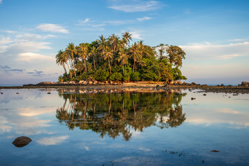 A palm tree covered tropical island with a mirror reflection in Phuket