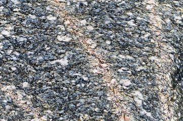 Sea stone texture. Panel texture. Background fill. Natural stone background.