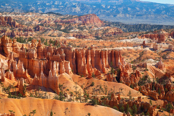 Bryce canyon