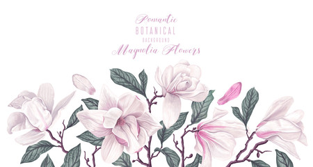 Vector horizontal border with white magnolia flowers and leaves isolated on white background. Spring theme background, vector, botanical floral design in realistic style. Greeting, invitation card. © MPetrovska