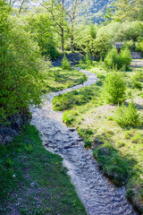 Fototapeta na wymiar 湯の湖に流れる新緑の湯川