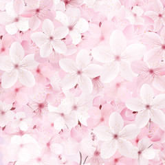 Blossoming pink sakura flowers background. Beautiful print © writerfantast