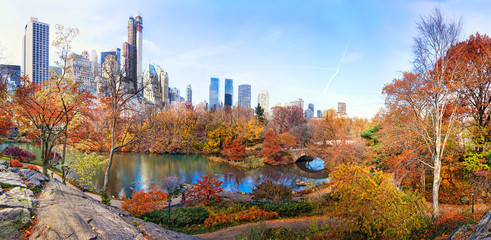Central park with new york city skyline - obrazy, fototapety, plakaty