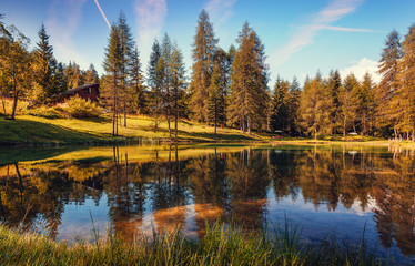 Sunny autumn scene of Scin Lake in Dolomites Alps mountains. Scenic image of fairy-tale woodland in...