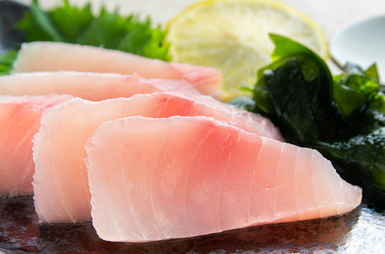 155 最適な ビンチョウマグロ 画像 ストック写真 ベクター Adobe Stock