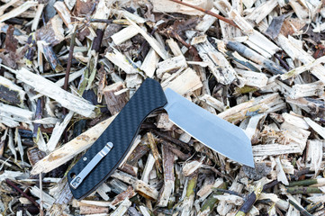 Pocket knife in a tucked position. Knife on wooden filings.