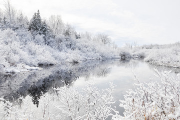 Winter landscape with trees, snow and water