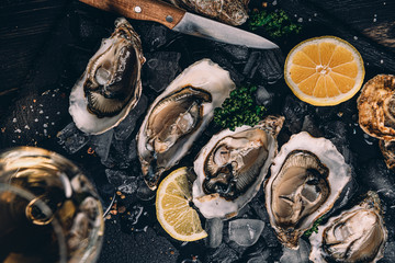 Fresh oysters with lemon ice and white wine. © Mykhailovskyi