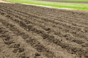 Plowed land prepared for planting on a spring day