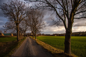 Obraz premium hiking trail in autumn