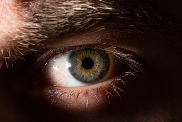 Beautiful close up human eye. Macro photography.	