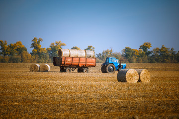 Fototapeta premium Hay bail harvesting in wonderful autumn farmers field landscape with hay stacks