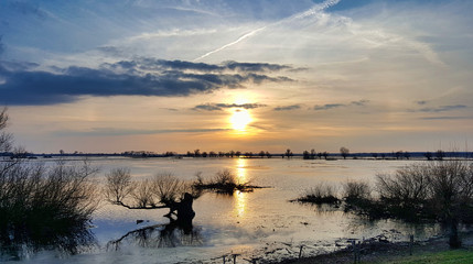 Park Narodowy Ujście Warty © michalsen