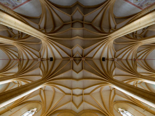 HYPERREALES SP&Auml;TGOTISCHES NETZRIPPENGEW&Ouml;LBE .  HYPERREAL LATE GOTHIC STELLAR RIP VAULT 