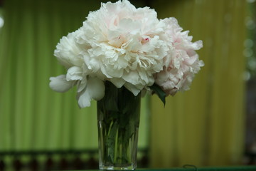 Pink peonies stand in a glass vase on the windowsill against the background of the house. The concept of a happy life in your own home