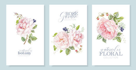 Watercolor cards with pink rose and berries