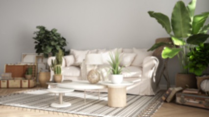 Fototapeta na wymiar Blur background interior design, old style living room, sofa, carpet and pillows, tables with decors and potted plants, carpet, retro architecture concept with copy space