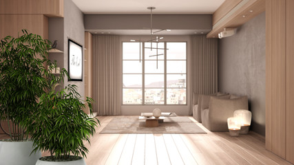 Zen interior with potted bamboo plant, natural design concept, minimalist living room in beige tones, wooden and concrete details, window, curtains, parquet, interior design concept