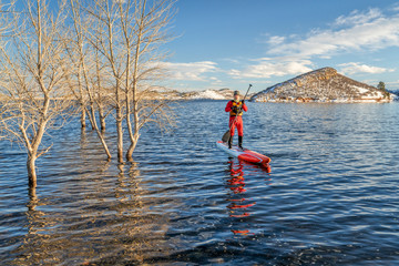 active senior is paddling stand up paddlenboard in winter