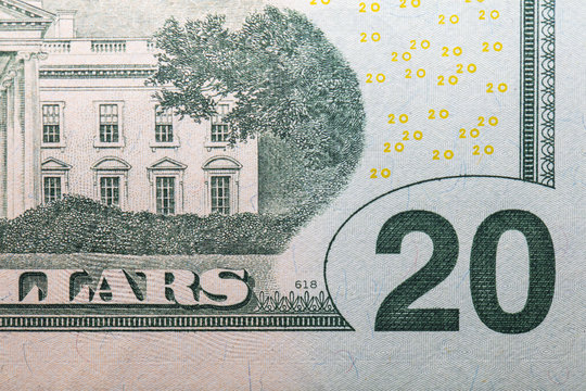 Closeup of back side of 20 dollar banknote
