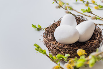 Composition with green buds on branches, decorative nest with easter eggs on a light background