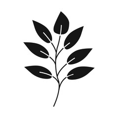 Vector design of leaf and coffee logo. Collection of leaf and plant stock vector illustration.