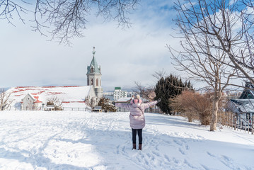 Happy traveller woman raised arms in winter at Hokkaido Japan.
