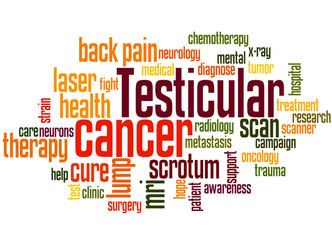 Testicular cancer word cloud concept 2