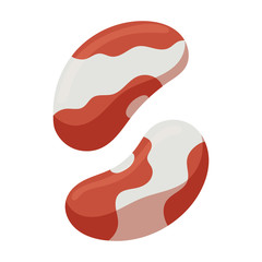 White bean vector icon.Cartoon vector icon isolated on white background white bean.