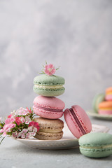 Cake french colorful macarons of pastel color