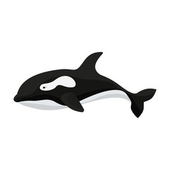 Fototapeta premium Whale orca vector icon.Cartoon vector icon isolated on white background whale orca.