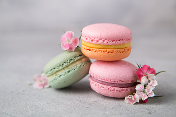 Cake french colorful macarons of pastel color