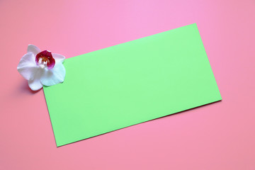 green envelope and orchid flower on a pink background. Copy space, celebration flat lay.