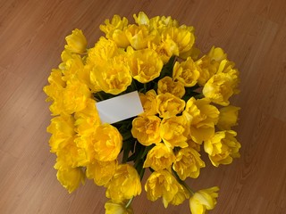 Bouquet of fresh yellow fluffy tulips for the celebration.