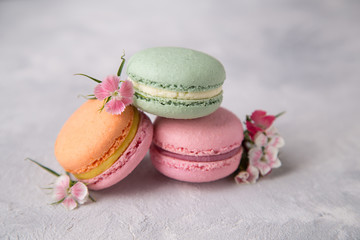 Cake french colorful macarons of pastel color