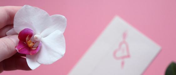  Pink background with orchid flower and envelope with a painted heart. Copy space, celebration flat lay